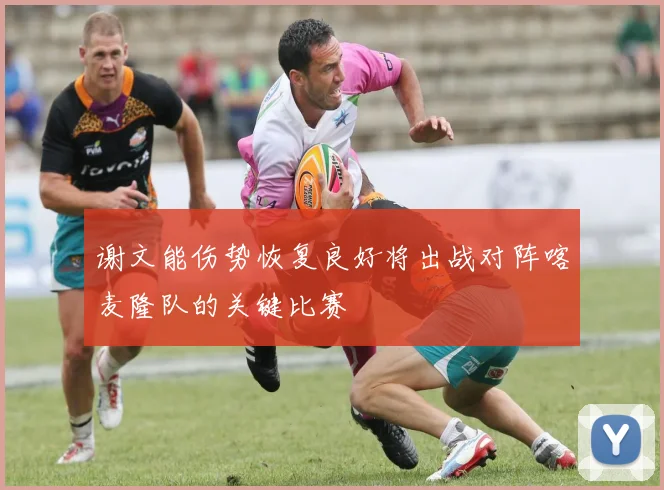 谢文能伤势恢复良好将出战对阵喀麦隆队的关键比赛