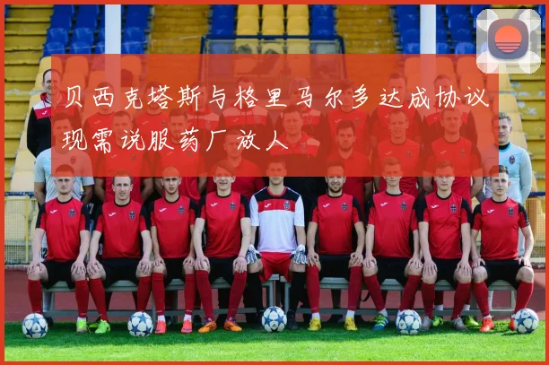 贝西克塔斯与格里马尔多达成协议现需说服药厂放人